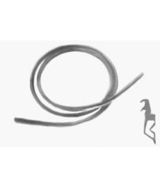 121036