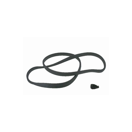 JUNTA DA CUBA SANGIORGIO